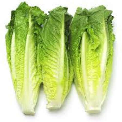 3 Count Bag -  Fresh Romaine Hearts