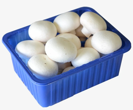 White Mushroom Pack