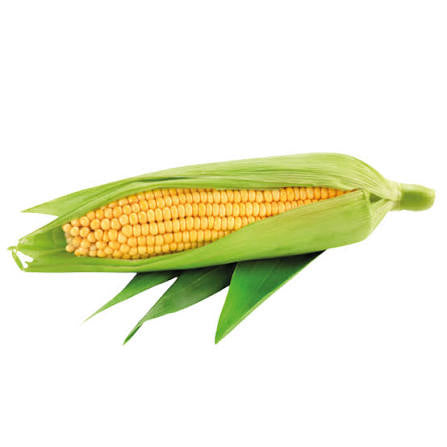 3 Pack- Sweet Corn