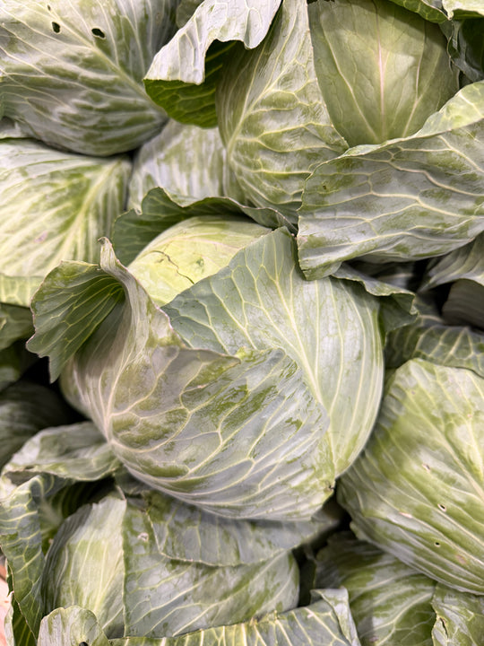 Green Cabbage by Piece