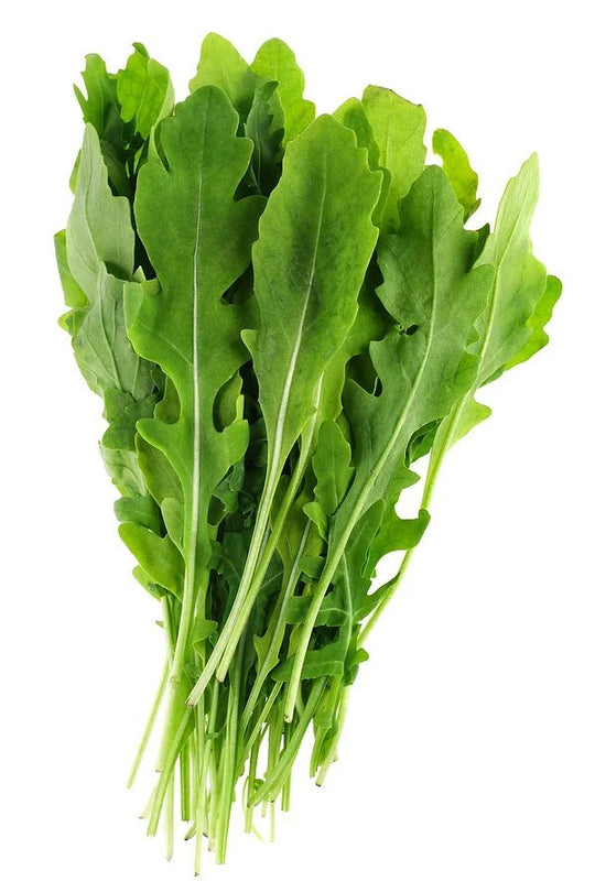 Arugula Bunch