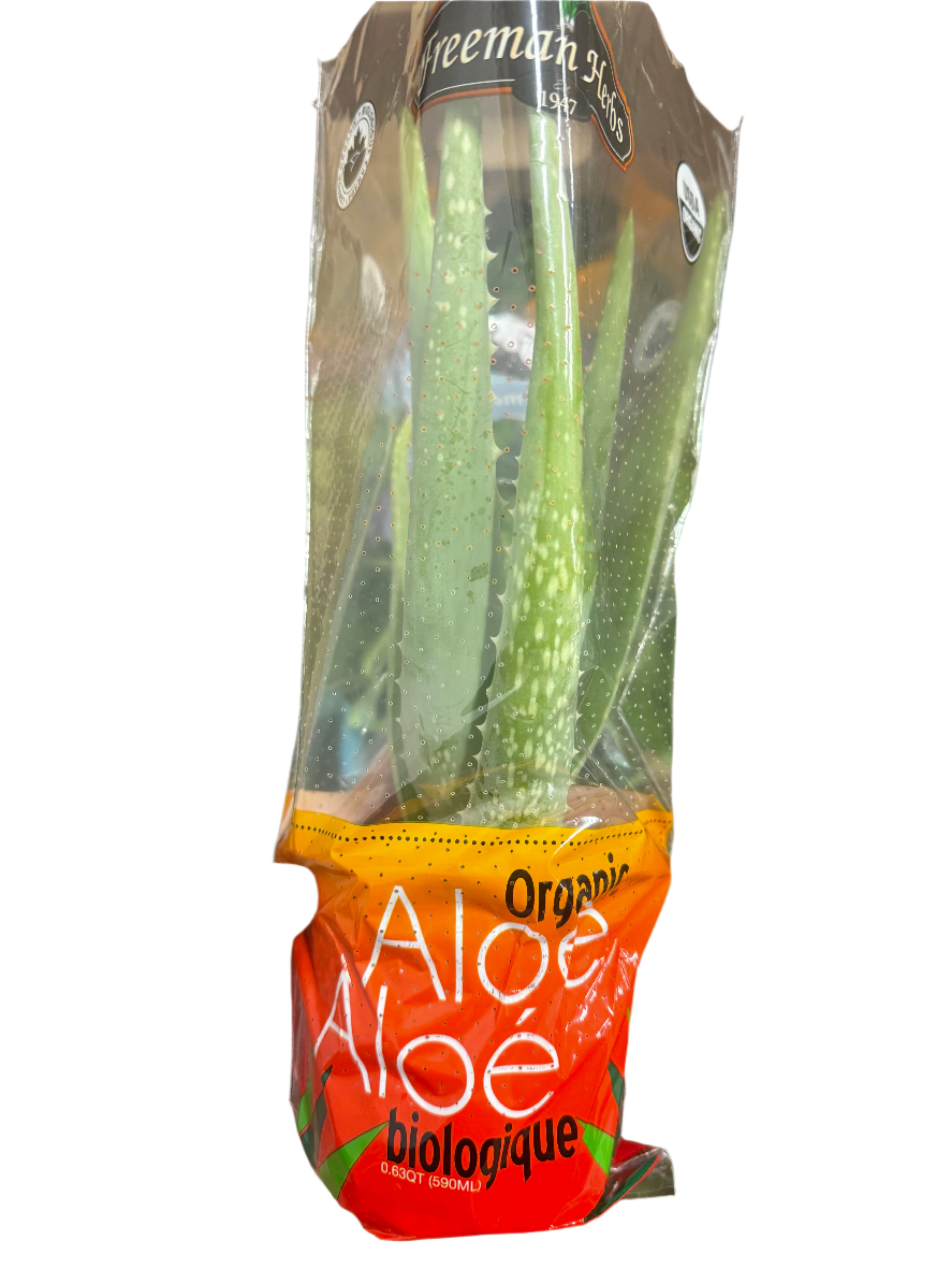 4.5 Inch - ORGANIC Fresh Living ALOE VERA SPECIAL!
