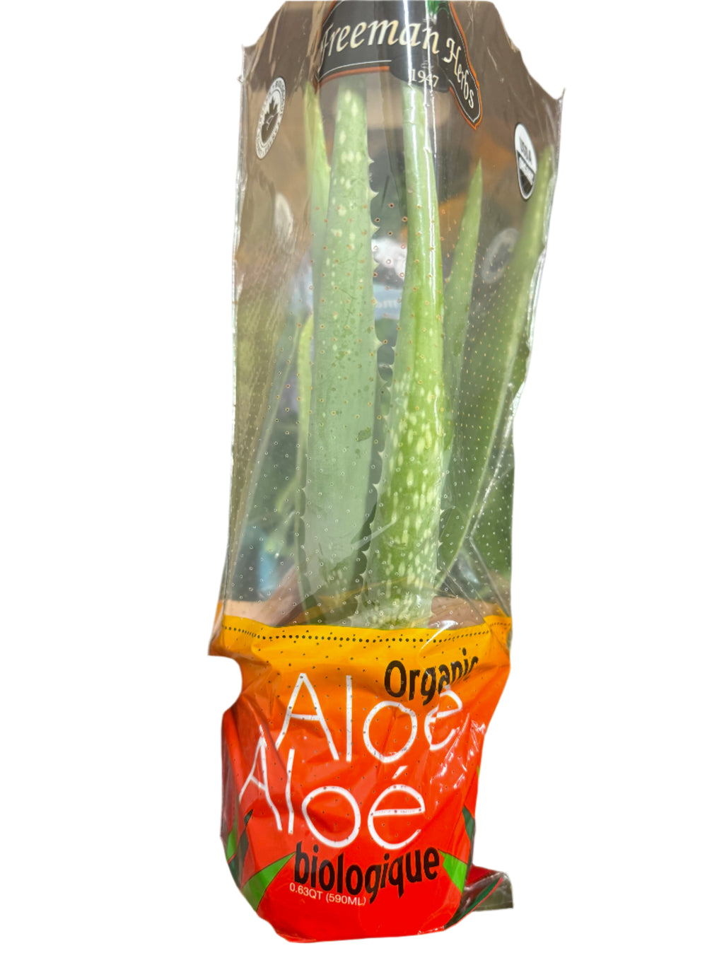 4.5 Inch - ORGANIC Fresh Living ALOE VERA SPECIAL!