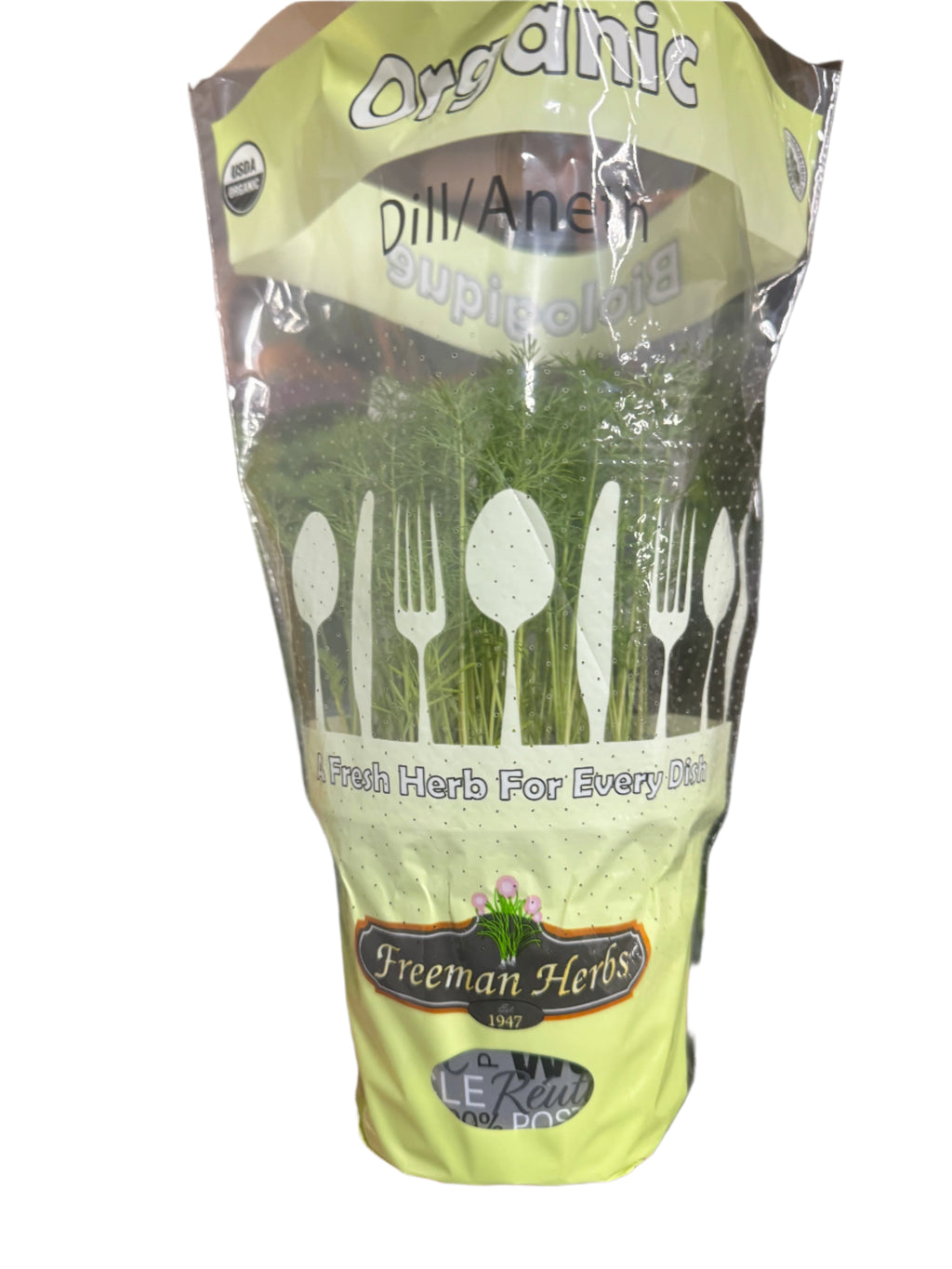 4.5 Inch - ORGANIC Fresh Living Dill Herb SPECIAL!