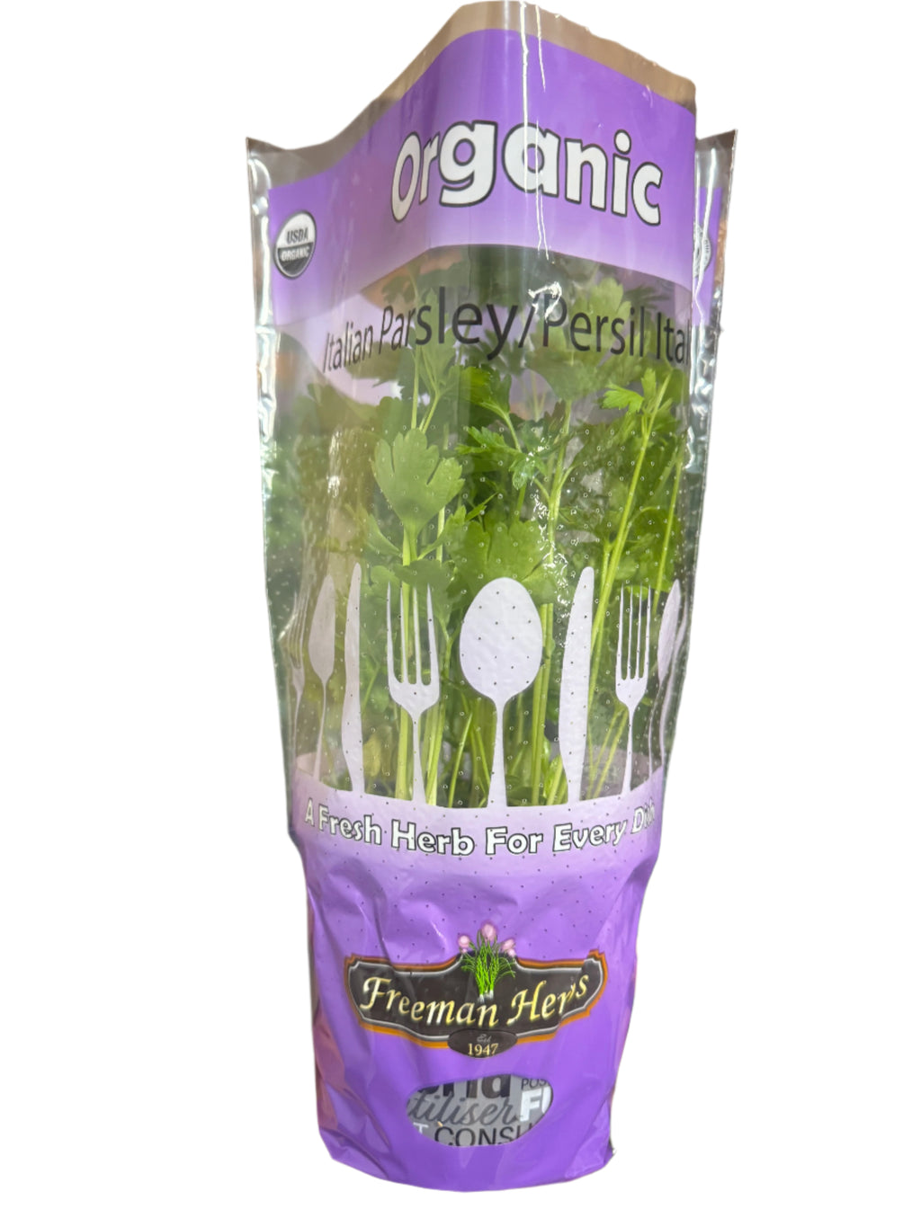 4.5 Inch - ORGANIC Fresh Living Italian Parsley Herb SPECIAL!
