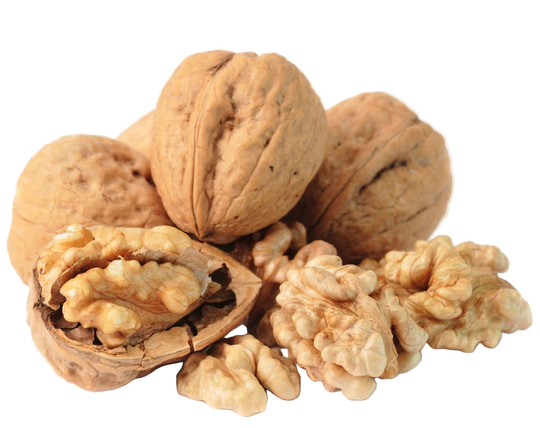 1lb Bag - Fresh Shelled Walnuts SPECIAL!