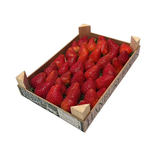 1 Tray - BORJA PREMIUM Sweet Strawberries from SPAIN SPECIAL!