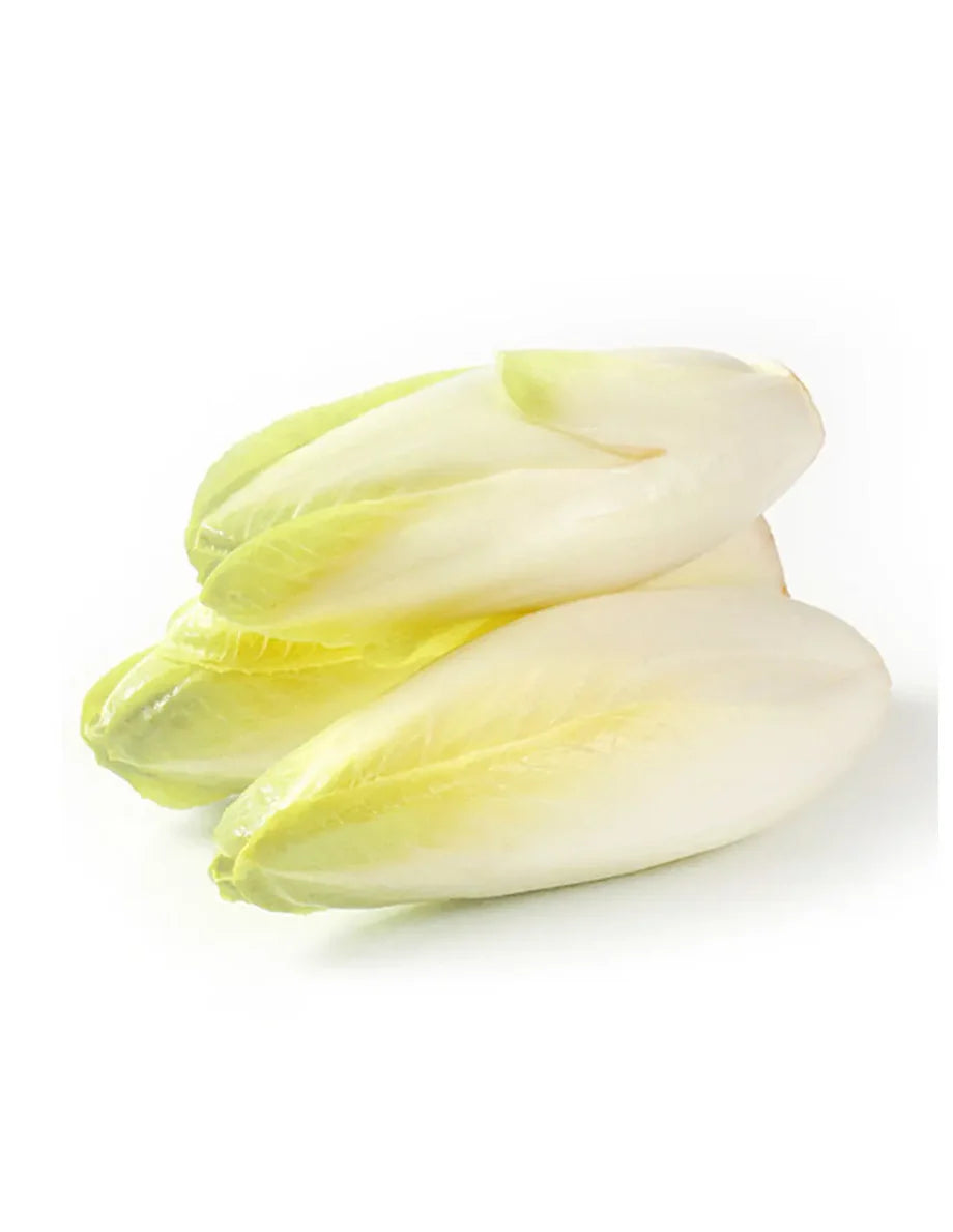 300g - Fresh Belgian Endive SPECIAL!