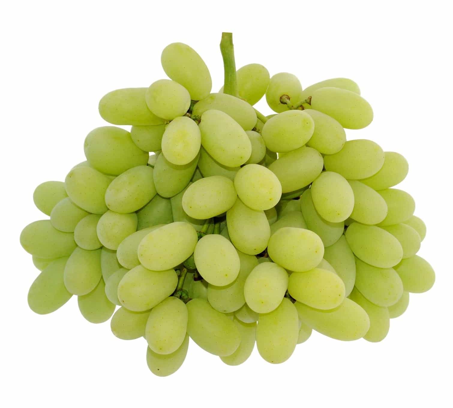 2lb Bag - LARGE FRUIT Sweet Green Seedless Grapes SPECIAL!