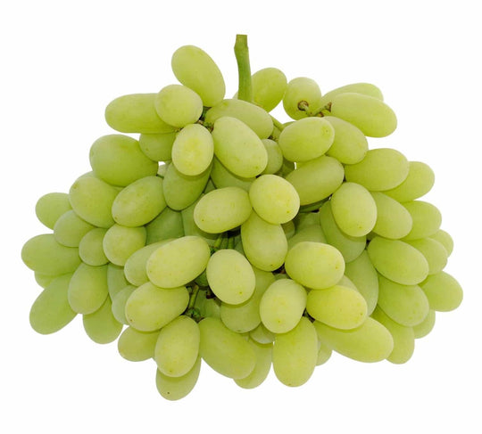 2lb Bag - LARGE FRUIT Sweet Green Seedless Grapes SPECIAL!
