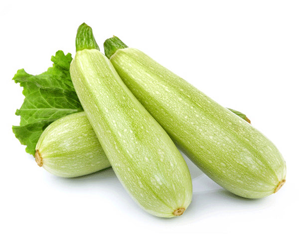 2lb Bag - FRESH Grey Zucchini MUST TRY SPECIAL!