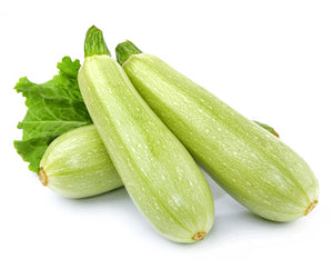 2lb Bag - FRESH Grey Zucchini MUST TRY SPECIAL!