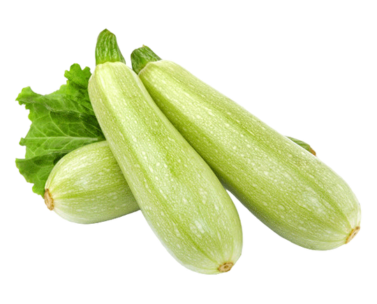 2lb Bag - ONTARIO Grey Zucchini MUST TRY SPECIAL!