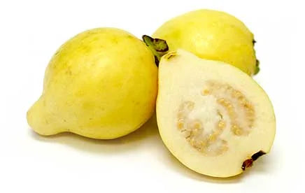 1lb Bag - Fresh Guava Fruit SPECIAL!