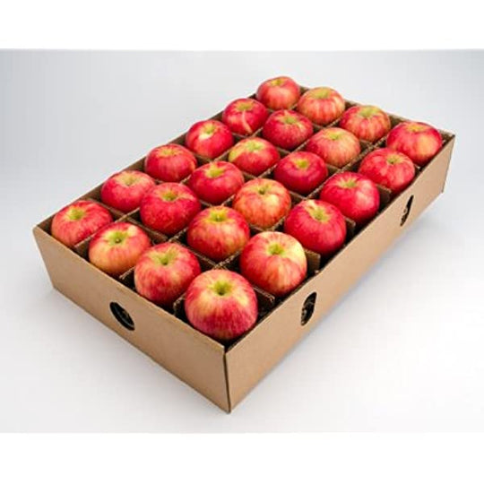 1 BUSHEL - LOCAL Honey Crisp APPLES Box SPECIAL!