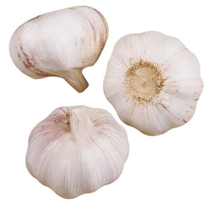 3 Pack Bag - Fresh Spanish Garlic SPECIAL!