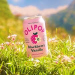 355ml - OLIPOP BlackBerry Vanilla SPECIAL MUST TRY!