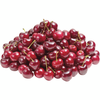 1lb Pack - ONTARIO Sweet LOCAL Cherries SPECIAL!