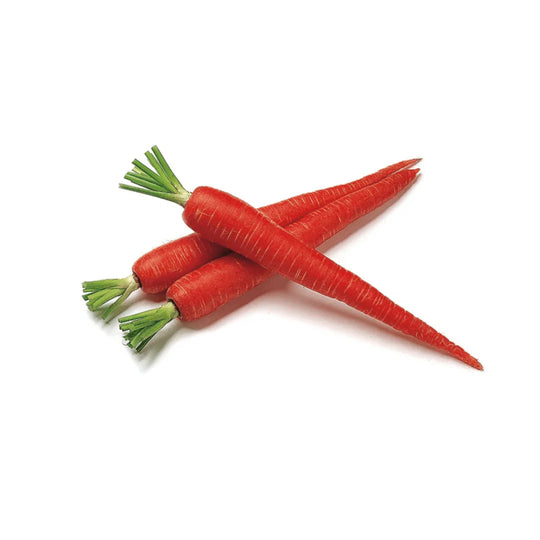 5 PCS - ONTARIO Sweet Red Carrots SPECIAL!