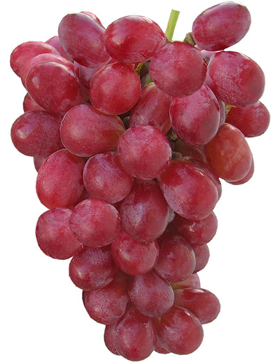 2lb Bag -  LARGE FRUIT SWEET Red Seedless Grapes SPECIAL! BEST GRAPES EVER!