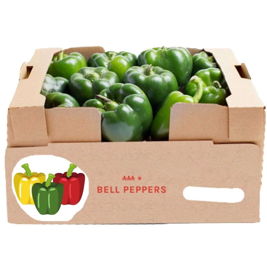 Peppers Bell - Bulk Green