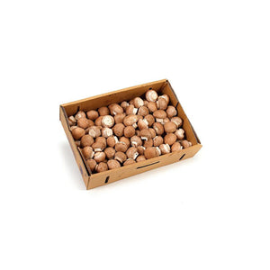 5LBS - Brown Mushroom Box
