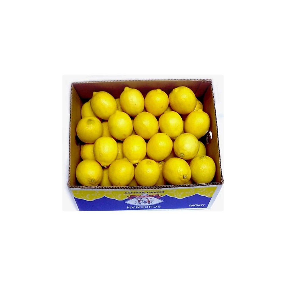 Premium Lemon / Box