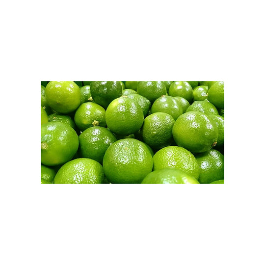 40 PCS - Large Lime Box