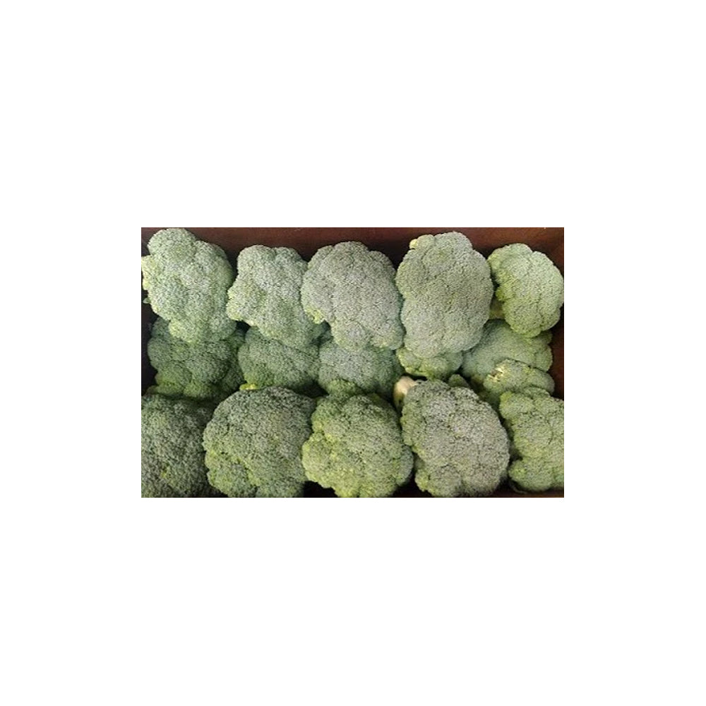 14 PCS - Broccoli Box