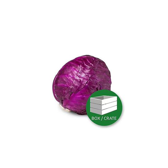 6 Heads - Red Cabbage Box