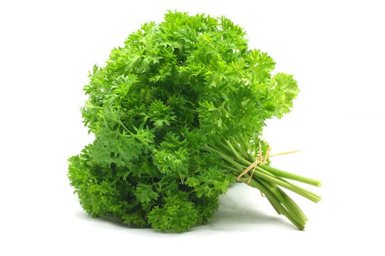1 Bunch - ONTARIO Curly Parsley SPECIAL!