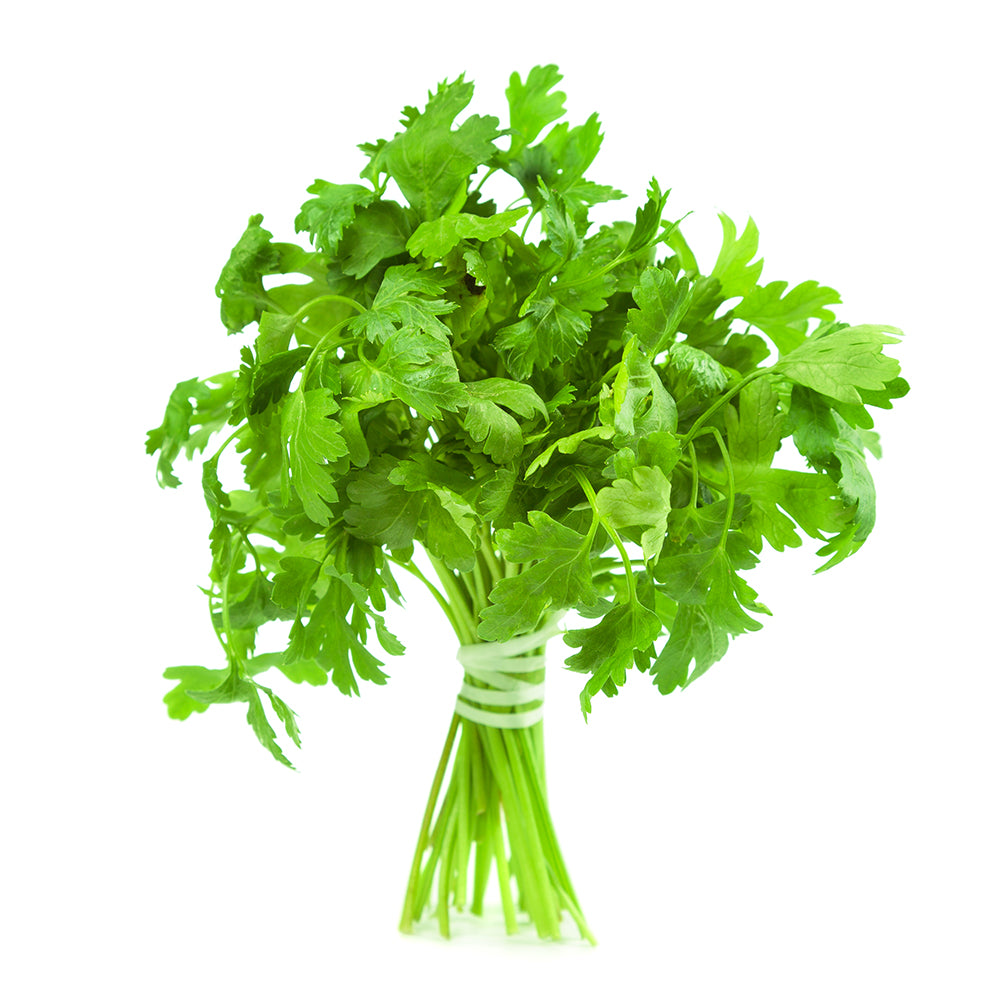 1 Bunch - ONTARIO Italian Parsley SPECIAL!