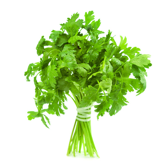 1 Bunch - ONTARIO Italian Parsley SPECIAL!