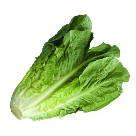 1 Whole - ONTARIO Romaine Lettuce SPECIAL!