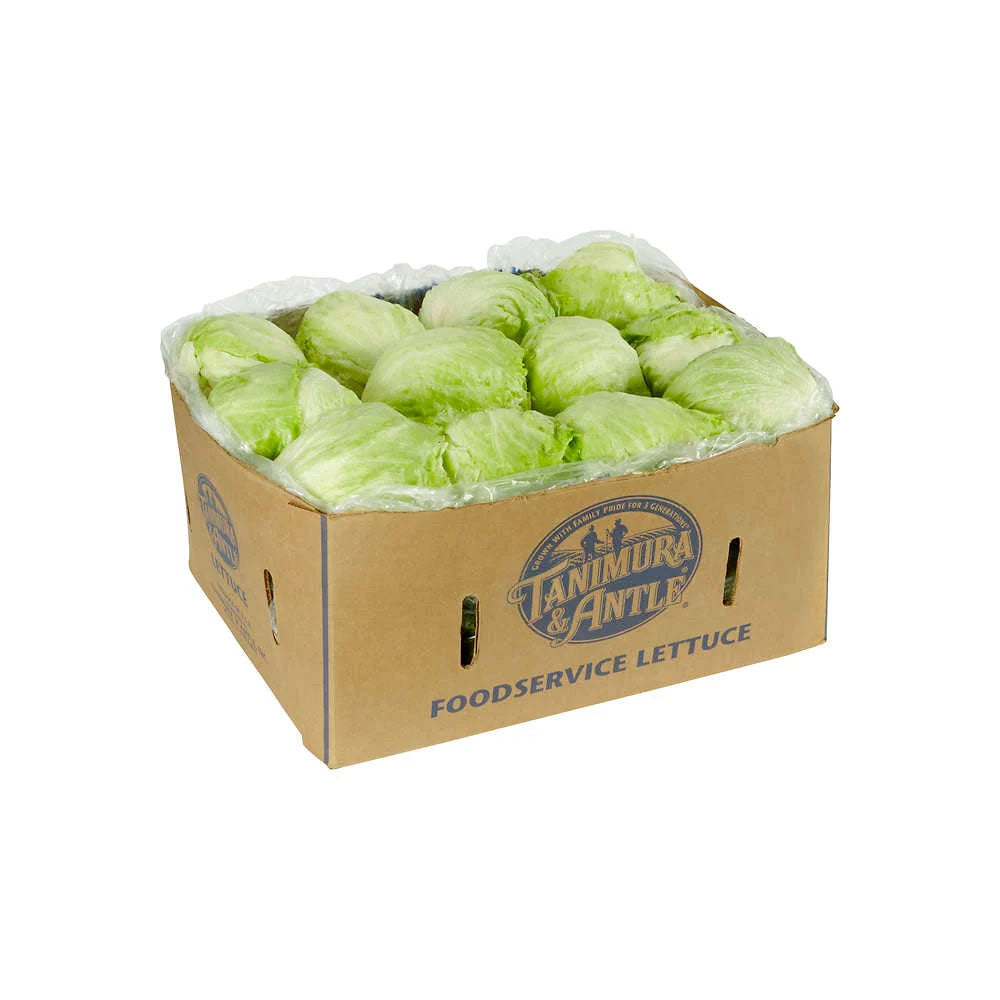 Iceberg(Head) Lettuces / Box