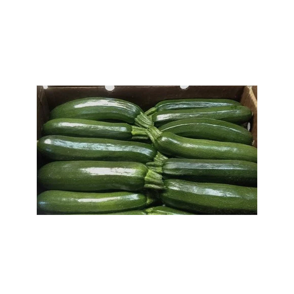 12LBS - Green Zucchini Box