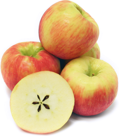 2lb Bag - NEW Crop ONTARIO Honey Crisp Apples