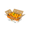 Premium Oranges Box