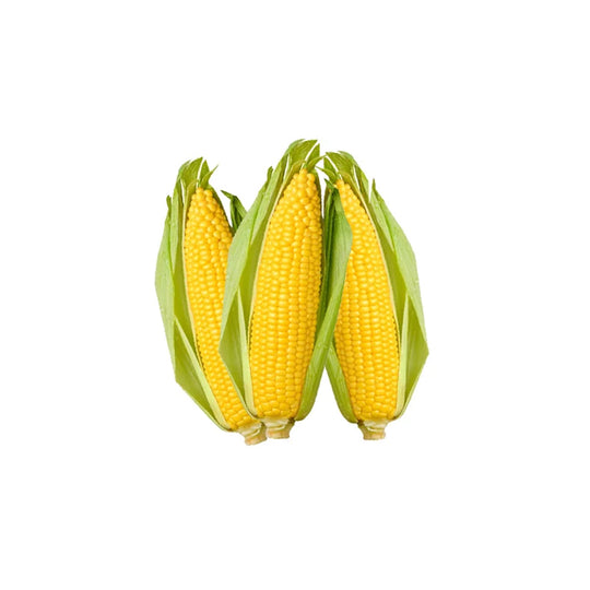 30 cobs - Premium Corn / Bag