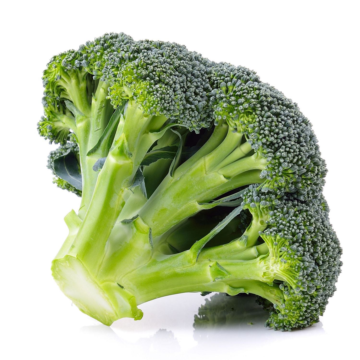 ORGANIC Fresh Broccoli Crown