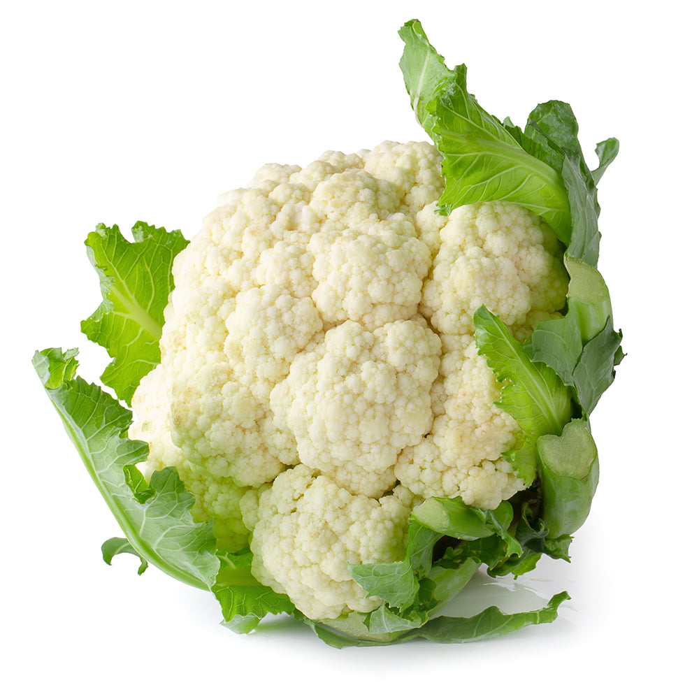 1 Head - JUMBO Fresh Cauliflower SPECIAL!