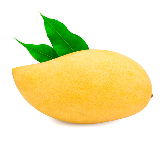 3 PCS - ATAULFO Yellow Mango SPECIAL!