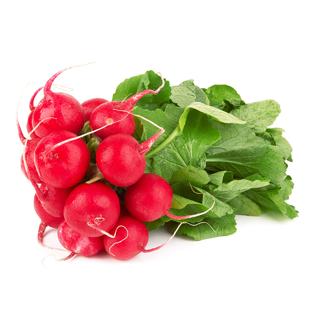 Local Fresh Radish Bunch