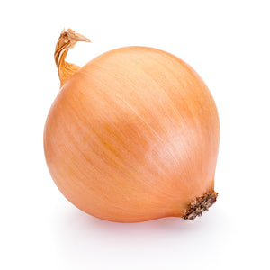1 PC - Large Cooking Onion