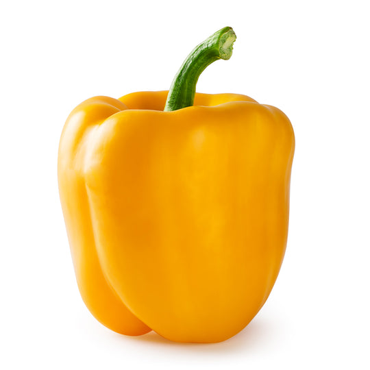 1 PC - SWEET Yellow Pepper