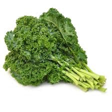 ONTARIO Fresh Crisp Kale Bunch SPECIAL!