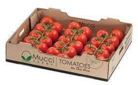11lb - Vine Tomato Box SPECIAL!