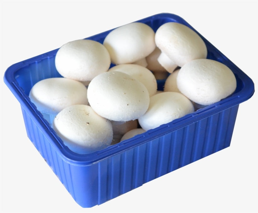 1 PACK - ONTARIO White Mushroom Pack