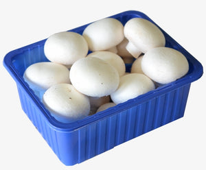 1 PACK - ONTARIO White Mushroom Pack SPECIAL!