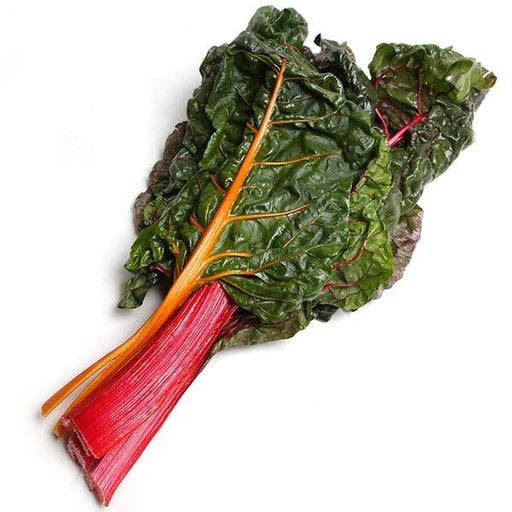 Red/Green Swiss Chard Bunch